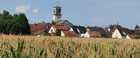 La Wantzenau - Floréale - TOPAZE 