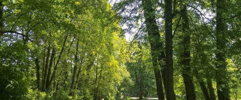 Didenheim-Brunstatt au bord de l'Ill