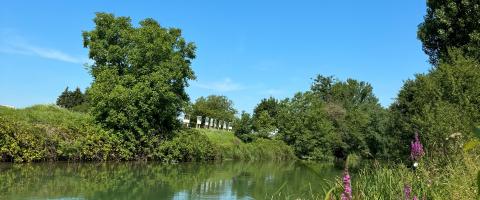 Saint Louis nature