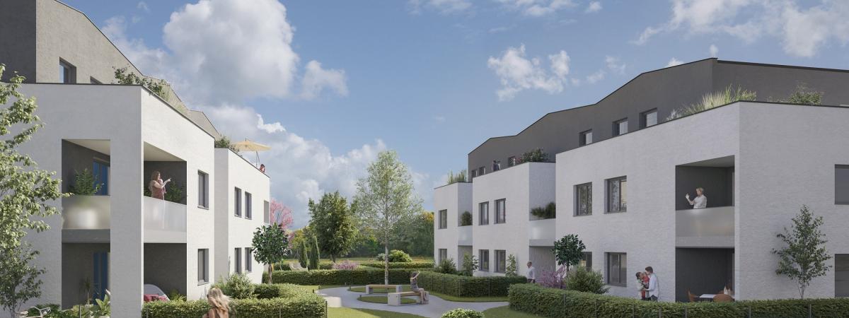 Programme immobilier neuf griesheim près Molsheim - Ginkgo