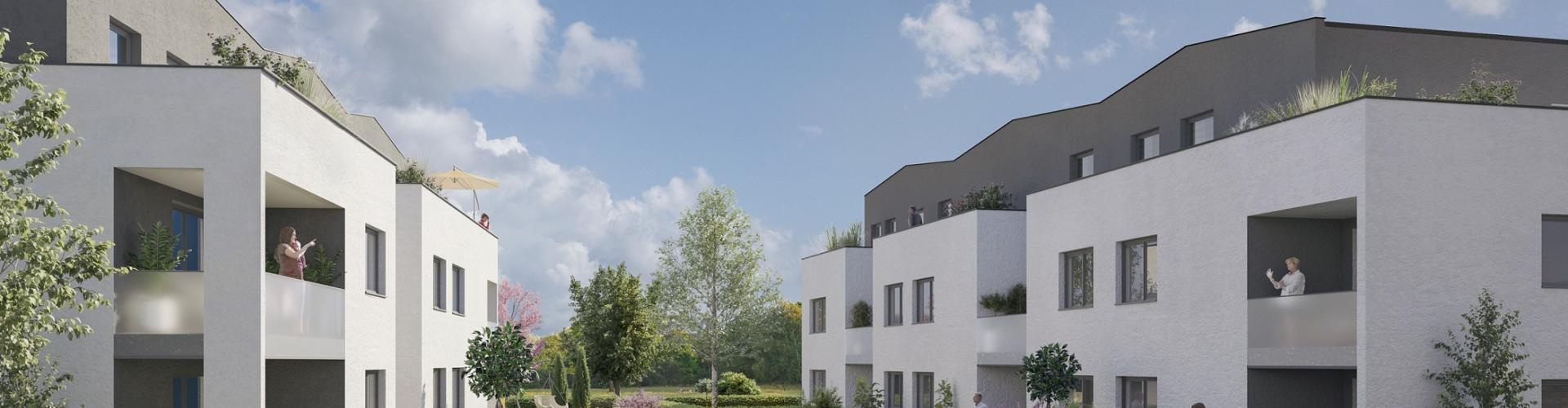 Programme immobilier neuf Griesheim-près-Molsheim - Ginkgo