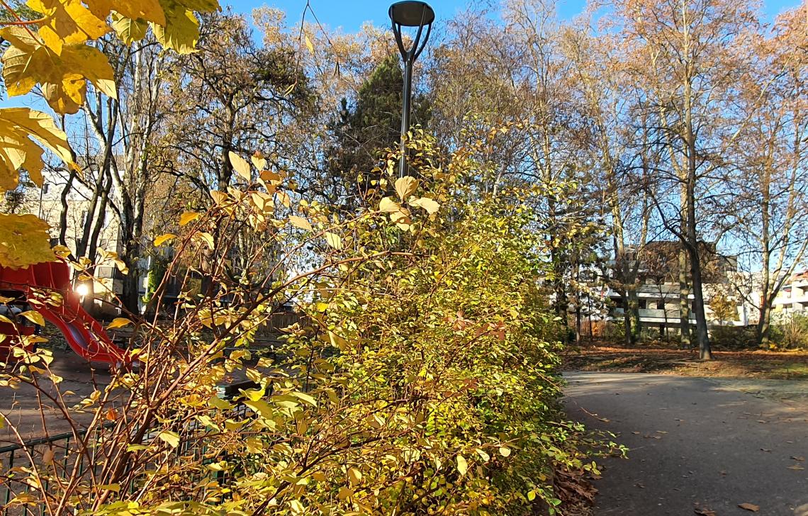 Parc proche de la rue Jacob