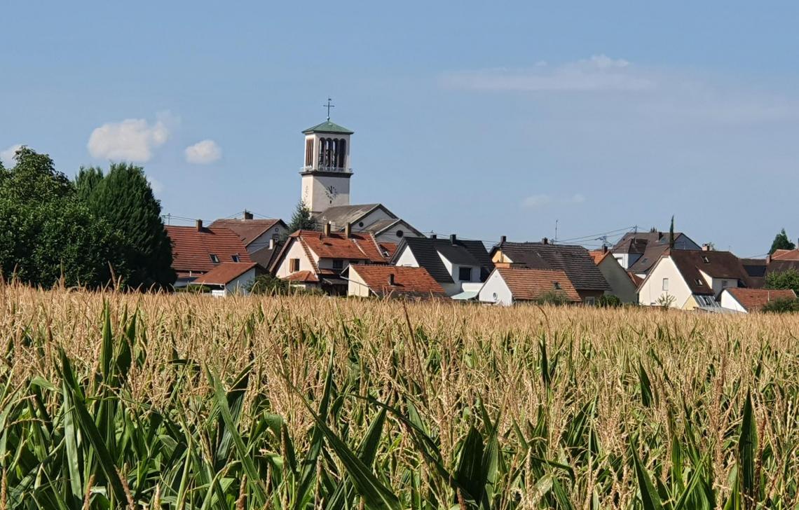 La Wantzenau - Floréale - TOPAZE 