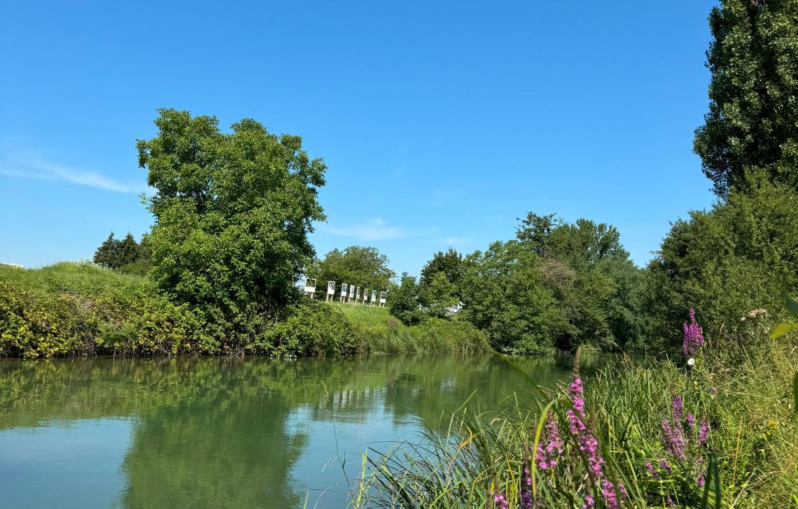 Saint Louis nature